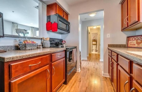North Capitol Condo | Downtown Nashville Haven - River Views & City Vibes FREE PARKING
