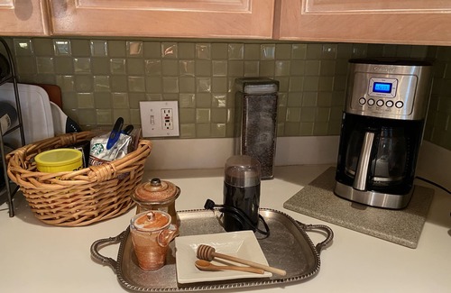 Harleston Village House | Downtown open space home with a European courtyard garden