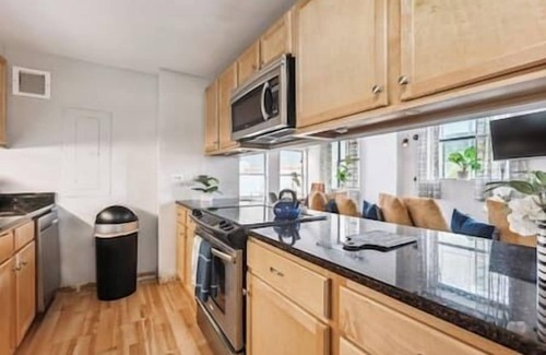 Printers Row Condo | Downtown Penthouse #5 | Vintage +gym & balcony