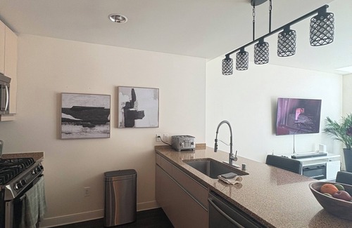 Downtown San Jose Apartment | Downtown San Jose Loft