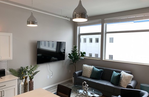 Downtown St. Paul Apartment | Downtown Smart Apartment at R7 Lofts