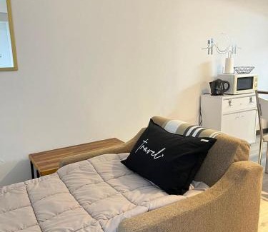 Tigre Apartment | Dr Propiedades 210