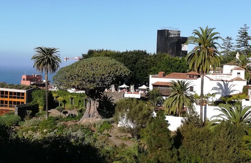 El Guincho Hotel | Drago Nest Hostel