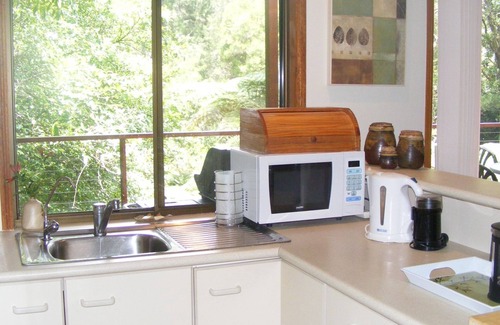 Springbrook Hotel | Dragonfly Cottage Springbrook