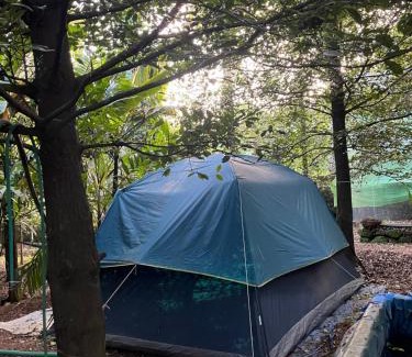 Irinjalakuda Other | Dragster Tents