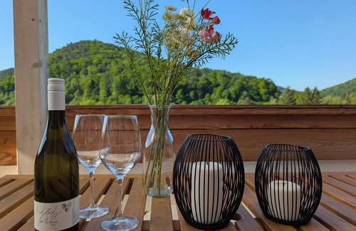 Neckargemuend Apartment | Dream apartment with a view of the Neckar