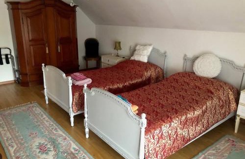 Brugg House | Dream apartment in nice villa near forest