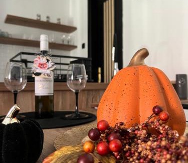 Vrsac Apartment | Dream Apartment Vršac