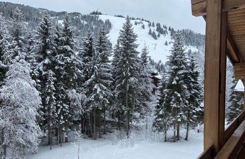 Hinterthal Apartment | Dream apartment "WILDBACH" in the enchanting Hinterthal am Hochkönig