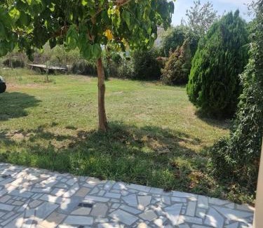 Archaia Olympia House | Dream Catcer House