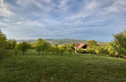 Viperesti House | Dream House - Buzau Valley