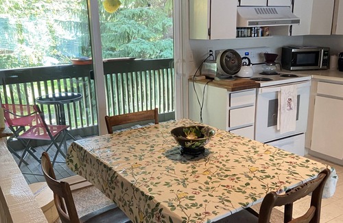 Ketchum Condo | Dream location across from the bike path, 2 min to lift, 3 min to downtown
