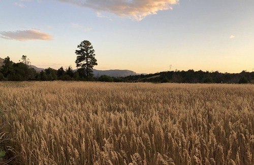Mancos House | Dream Mountain Home Getaway on 40 Acres with Private Hiking Trails