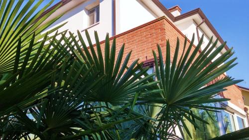 Dese Apartment | Dream Venice Airport