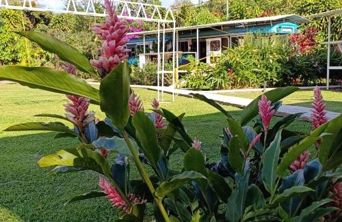 Poas Volcano National Park Other | Dreamcatcher House Bus Experience 2