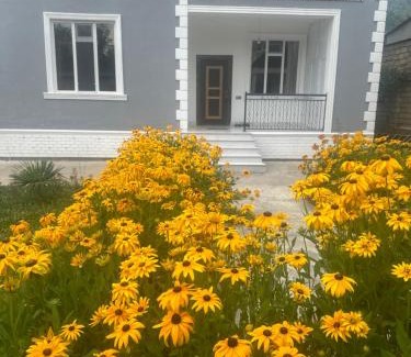 Gabala Villa | Dreamed Villa In Gabala