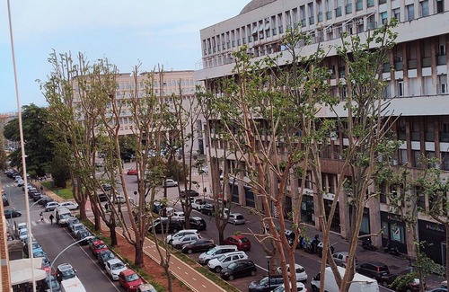 Quartiere XXIV Don Bosco Apartment | Dreaming ROoME
