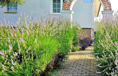 Oslip House | Dreamly Suites
