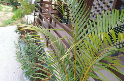 Sakleshpur House | Dreamwood FarmStay