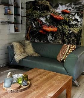 Laag-Soeren House | Dreamwoodz - een droomchalet op de Veluwe