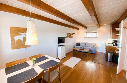 Bara Apartment | Dreamy Albatross