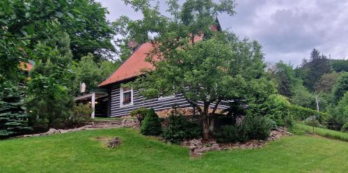 Raztocno Ski Chalet | Drevenica Remata