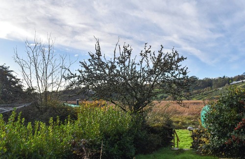 Morwellham Apartment | Driftwood Cottage - UK48567