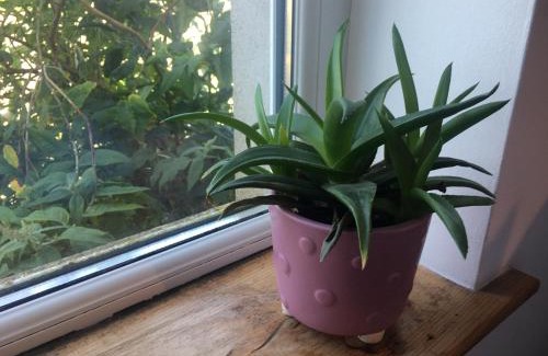 Killyleagh Apartment | Driftwood Loft