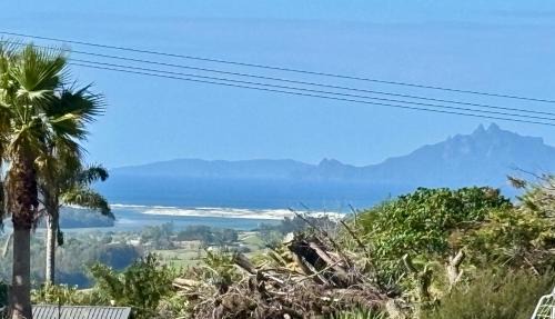 Mangawhai Apartment | Driftwood