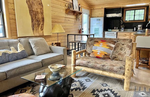Lake City Cabin | Driftwood - Ox Yoke #8 - Newly Updated Cabin That Sits Along the Lake Fork of the Gunnison River