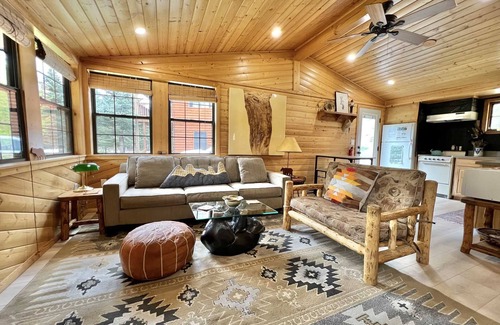 Lake City Cabin | Driftwood - Ox Yoke #8 - Newly Updated Cabin That Sits Along the Lake Fork of the Gunnison River