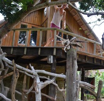 Berea House | Driftwood Treehouse