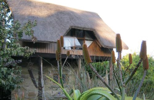 Berea House | Driftwood Treehouse