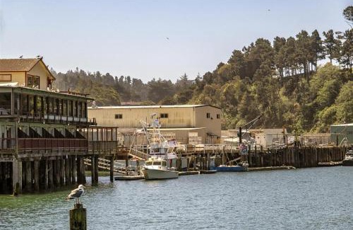 Fort Bragg House | Driftwood