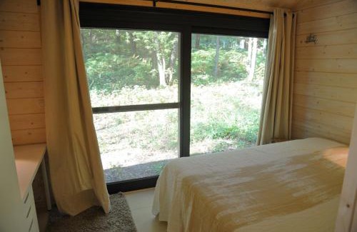 Grandham House | Droles d'Ecureuils