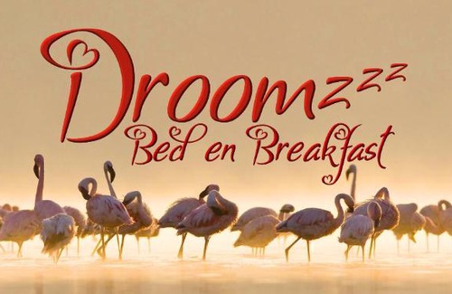 Municipality of Roerdalen Bed & Breakfast | Droomzzz