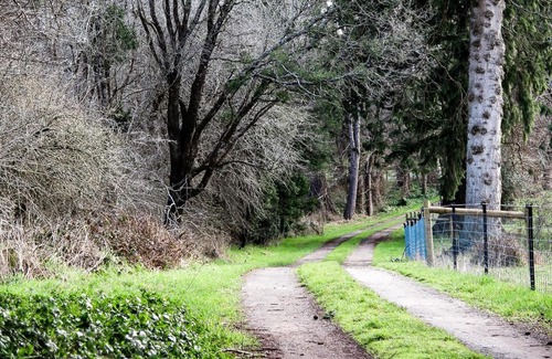 Deloraine House | Drumreagh Cabins