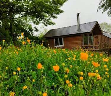 Llandeilo Other | Dryw bach glamping hut
