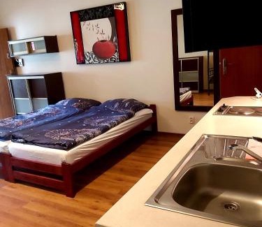 Wolsztyn Apartment | Drzewosfera