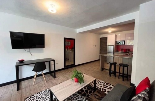 Zona 15 Apartment | DStja - 2 studios next to each othern