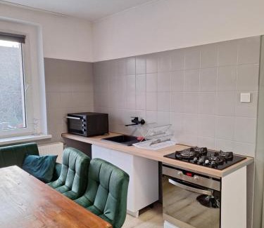 Chorzow Batory Apartment | DTŚ Apartments