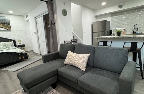 Dallas Apartment | DT Dallas 2BD COZY ABODE 5 Min from Love Field