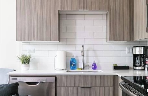 South Loop Apartment | DTown Mich Ave #10 | gym+rooftop w park view