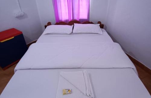 Todupulai House | DTPC Cottage Ilaveezhapoonchira