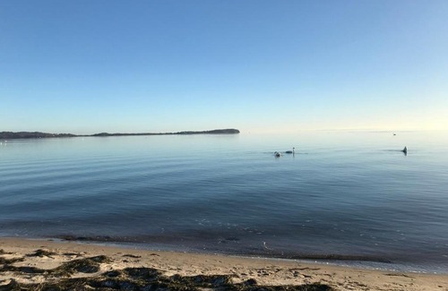 Putbus House | DTS Appartements