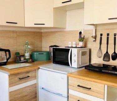 Namysłow Apartment | Duży apartament z kuchnią i łazienką
