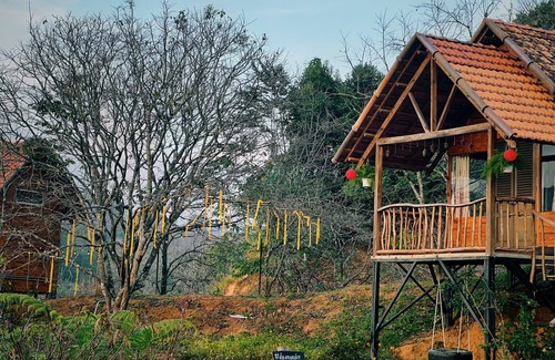 Don Duong Cabin | Du An Garden Retreat Forest