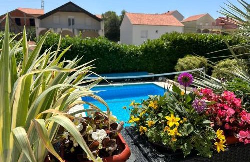 Ravno Apartment | DUBROVNIK - IVANICA: “SUNNYHILLS APARTMENTS” WITH POOL