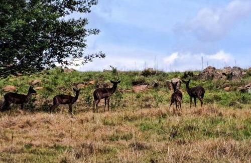 Emakhazeni Apartment | Dullstroom Manor Game & Trout Lodge