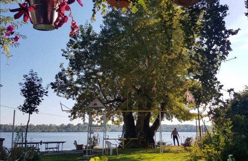 Vojvodina House | Dunavski Plicak- house on the Danube with a beautiful view